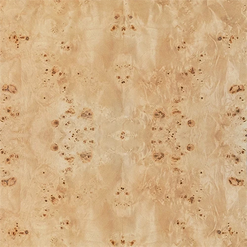 Patterned burl wood texture with symmetrical knots and swirls.