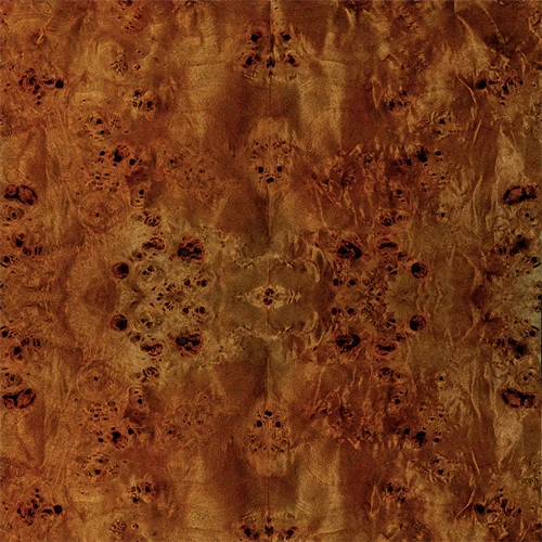 Close-up of burl wood burl pattern with natural knot and swirling grain.