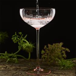 Quinn Modern Classic Rose Coupe Glass - Set of 2|