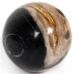 Conor Rustic Lodge Black Accent Brown Wood Round Decorative Objects - Set of 3|