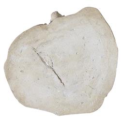 Nephele Roman Coastal Beach Off-White Resin Outdoor Stool - Large|