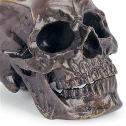 Antique Industrial Loft Antique Bronze Metal Skull Sculpture|