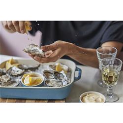 Staub Modern Classic Turquoise Blue Ceramic Rectangular 3 Piece Baking Dish Set|