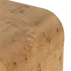 Cynthia Rustic Lodge Brown Burl Wood Square End Table|