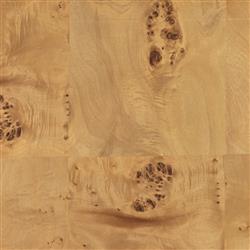 Cynthia Rustic Lodge Brown Burl Wood Square End Table|