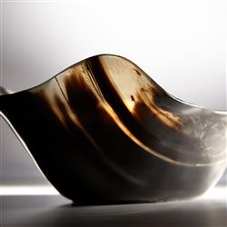 Carter Rustic Brown Horn Rectangular Tray|