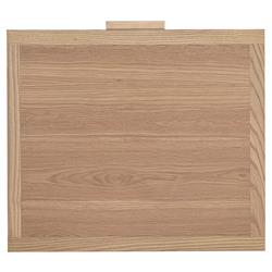 Ronaldo Coastal Beach Natural Pine Wood Woven Rattan 2 Drawer Office Cabinet|