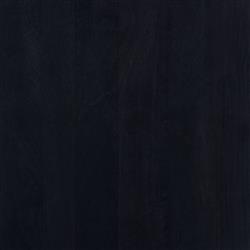 Kashton Mid Century Modern Black Wash Mango Wood Woven Cane 2 Drawer Desk|