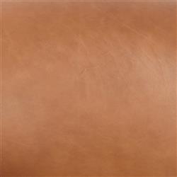 Riley Mid Century Modern Brown Upholstered Leather Wood Barrel Chair|