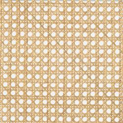 Vin Coastal White Upholstered Cushion Natural Woven Cane Black Wood Dining Chair|