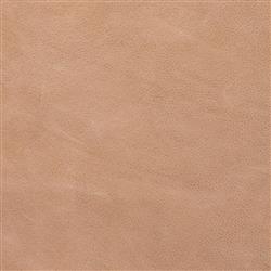 Sonn Mid Century Brown Upholstered Leather Silver Stainless Steel Tufted Office Chair|