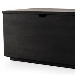 Scarlett Rustic Lodge Black Solid Mango Wood Storage Trunk|