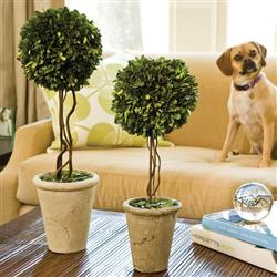 Marin French Country Green Boxwood Single Sphere Topiary - Small|