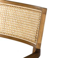 Tina Modern Beige Performance Brown Wood Frame Cane Dining Arm Chair|