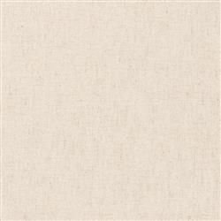 Tina Modern Beige Performance Brown Wood Frame Cane Dining Arm Chair|