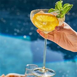 Quinn Modern Classic Citrine Coupe Glass - Set of 2|