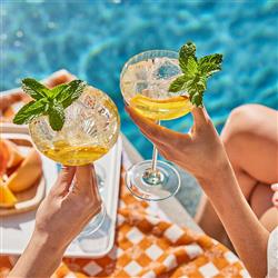 Quinn Modern Classic Citrine Coupe Glass - Set of 2|