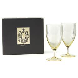 Quinn Modern Classic Citrine Drinking Glass - Set of 2|