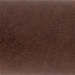 Ashton Rustic Lodge Brass Iron Brown Leather Shade Task Reading Floor Lamp|