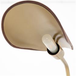 Ashton Rustic Lodge Brass Iron Brown Leather Shade Task Reading Floor Lamp|