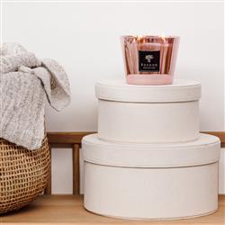 Baobab Collection Les Exclusives Roseum Pink Glass Scented Candle - Small|