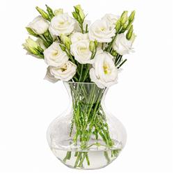 Juliska Puro Modern Classic Glass Decorative Table Vase|