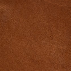 Blaise Rustic Lodge Brown Upholstered Leather Seat Low Back Counter Stool|