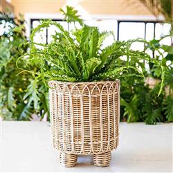 Juliska Provence Coastal Beach Whitewash Woven Rattan Round Planter|