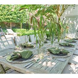 Fran Olive Linen Embroidered Trim Napkin - Set of 4|