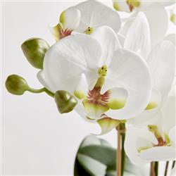 Angel French Country White Phalaenopsis Orchid Bowl Drop In Faux Floral|