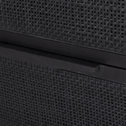 Rhian Coastal Beach Black Mango Wood Black Woven Cane Double Dresser|