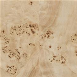 Daphne Modern Classic Light Burl Round Drum Coffee Table|