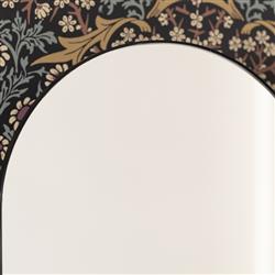 Alaina Modern Classic Black Arched Medicine Cabinet Mirror|