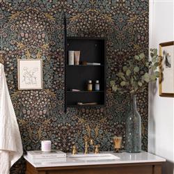 Alaina Modern Classic Black Arched Medicine Cabinet Mirror|