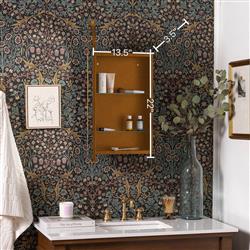 Alaina Modern Classic Gold Arched Medicine Cabinet Mirror|