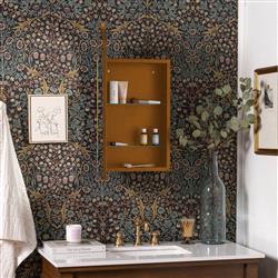 Alaina Modern Classic Gold Arched Medicine Cabinet Mirror|