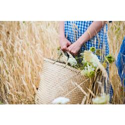 Verena Coastal Beach Natural Woven Seagrass Floor Basket - Set of 2|