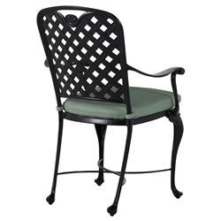 Provance Green Sunbrella Earth Black Outdoor Dining Arm Chair|
