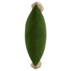Jules Modern Green Velvet Indoor Outdoor Tassel Throw Pillow - 20x20|