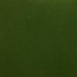 Jules Modern Green Velvet Indoor Outdoor Tassel Throw Pillow - 20x20|