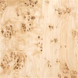 Briella Modern Classic Light Brown Burl Wood Bed - Queen|