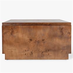 Briella Modern Classic Dark Brown Burl Wood Coffee Table|