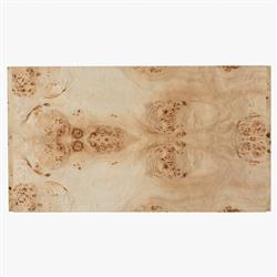 Briella Modern Classic Light Brown Burl Wood Coffee Table|