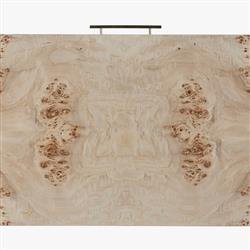 Briella Modern Classic Light Brown Burl Wood Console Table|