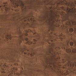 Briella Modern Classic Dark Brown Burl Wood Full Length Floor Mirror|