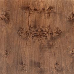 Briella Modern Classic Dark Brown Burl Wood Nightstand|