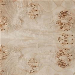 Briella Modern Classic Light Brown Burl Wood Nightstand|