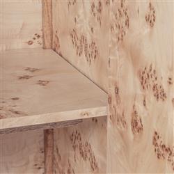 Briella Modern Classic Light Brown Burl Wood 2 Door Sideboard|