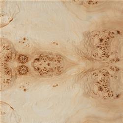 Briella Modern Classic Light Brown Burl Wood 2 Door Sideboard|