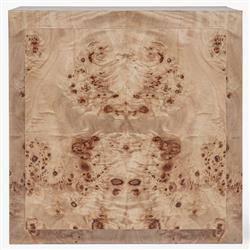 Briella Modern Classic Light Brown Burl Wood 2 Door Sideboard|